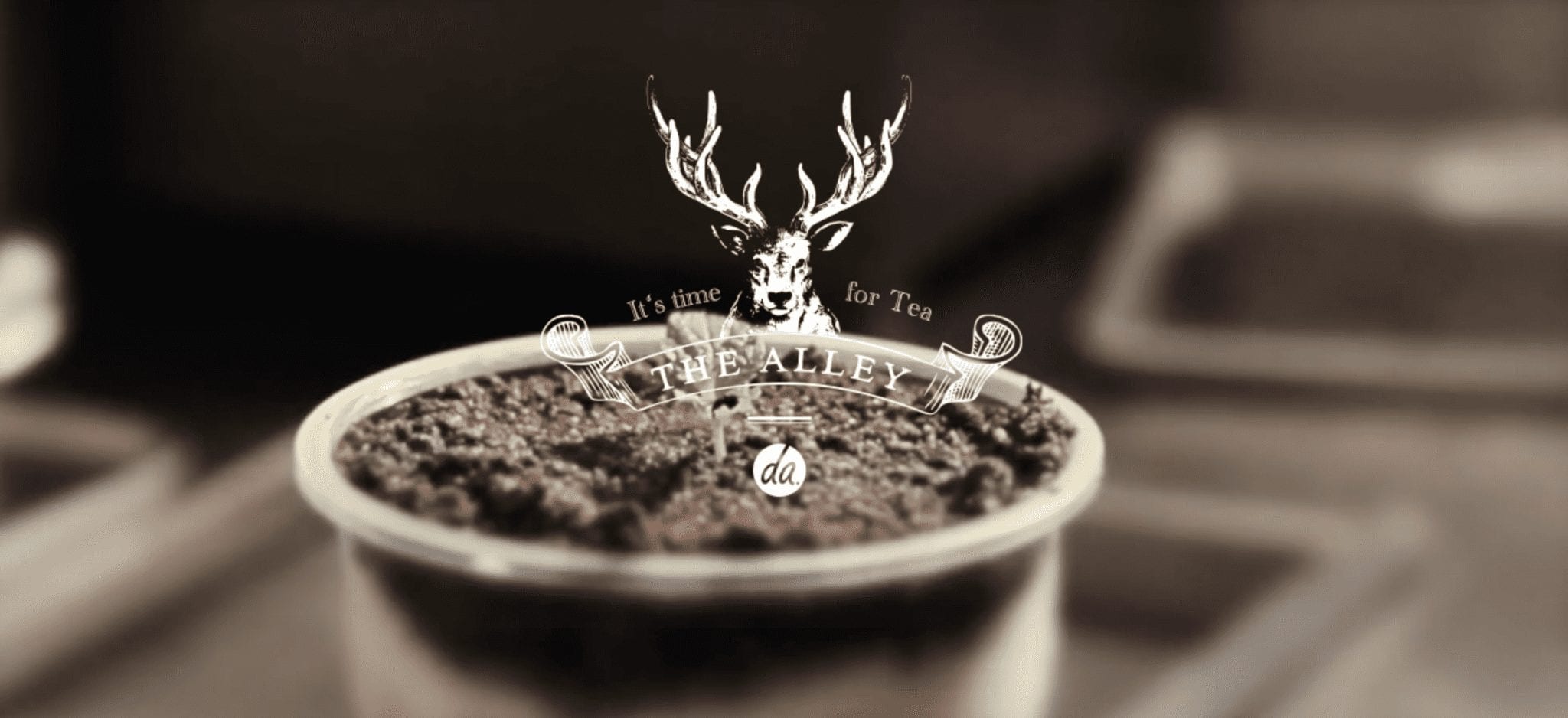 The Alley, Bubble Tea with a Sugary Twist | The Click