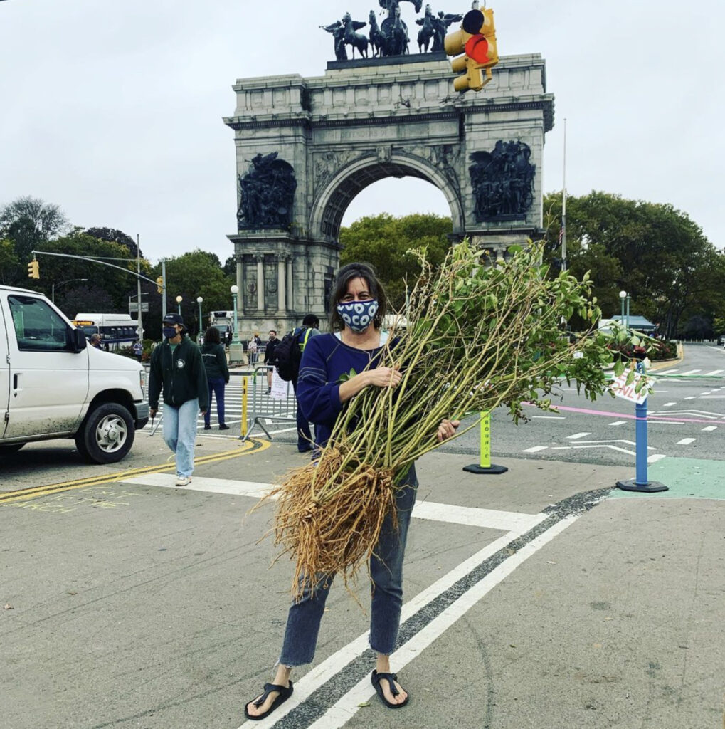 Grace Galanti at the Prospect Park Farmers Market with Ashwagandha plants, Oct. 24, 2020.