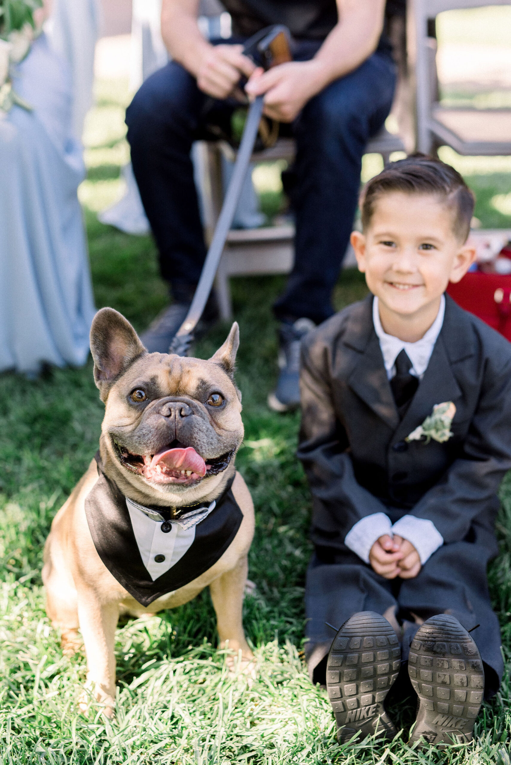 A dog and a ring bearer at a wedding