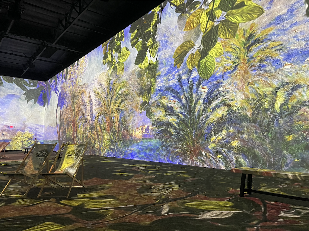 Monet's Immersive Experience