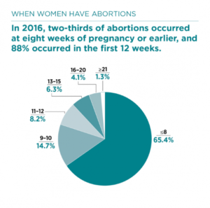 Pie chart of when in pregnancy abortion takes place