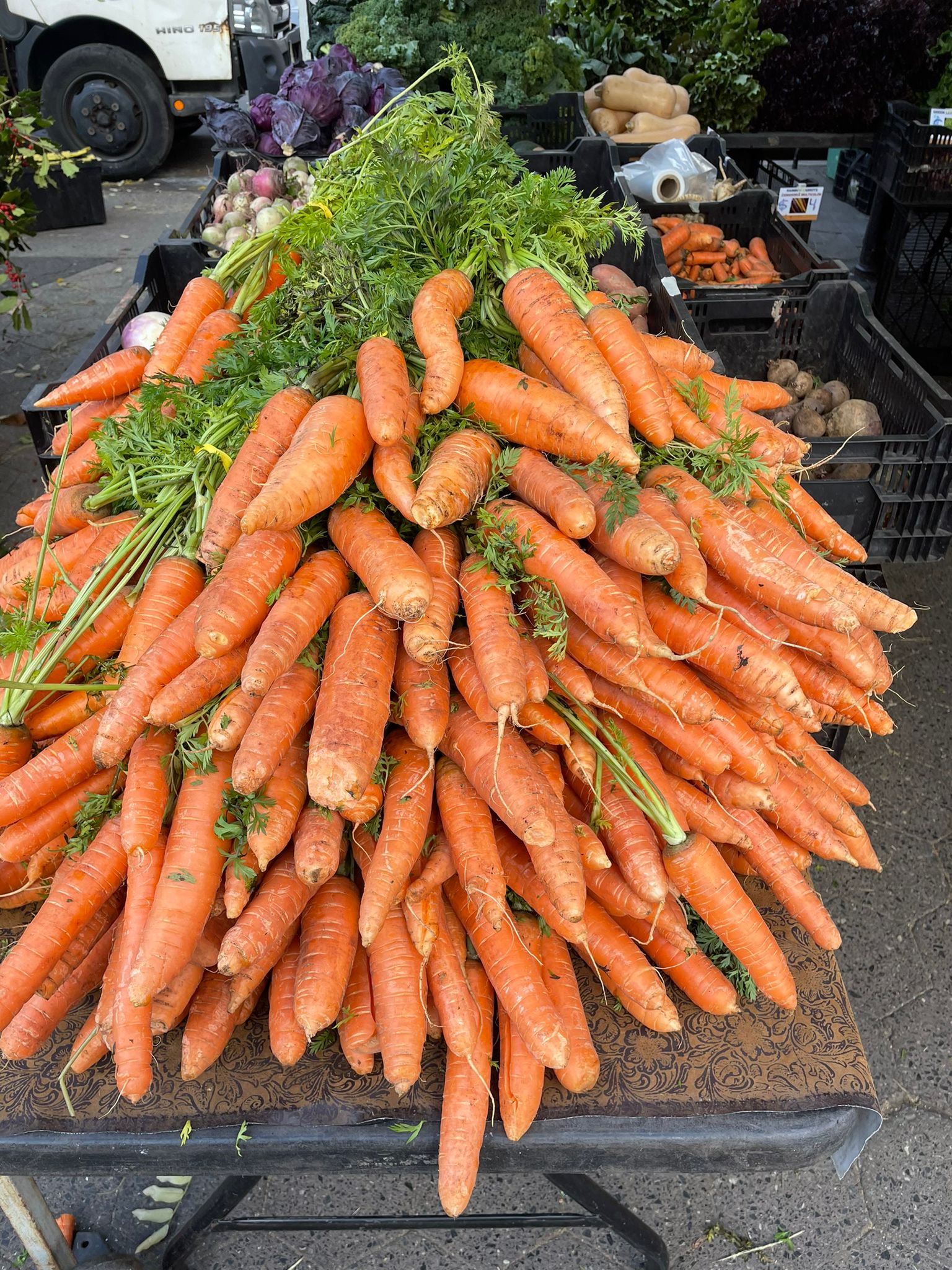 Picture of Carrots at Union Square Farmers Market