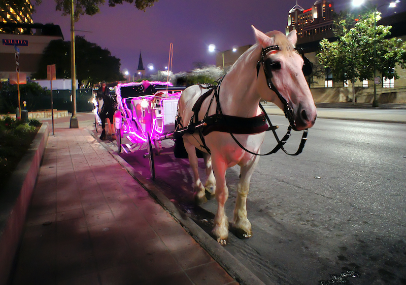 Horse-drawn carriage waiting in downtown San Antonio
