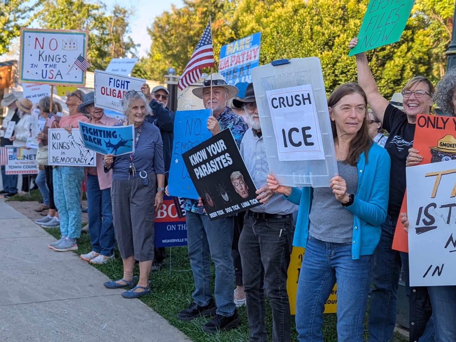 Democratic demonstrators hold up signs in protest of Donald Trump along mainstreet