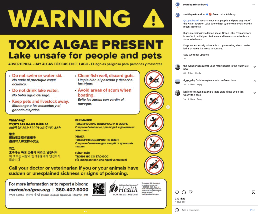 Screenshot of toxic algae Instagram post, including user comments