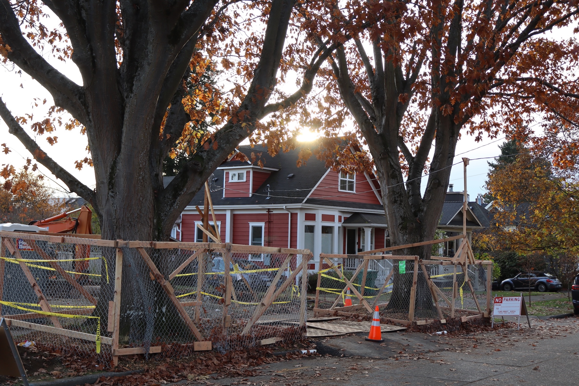 Two trees in front of a red house