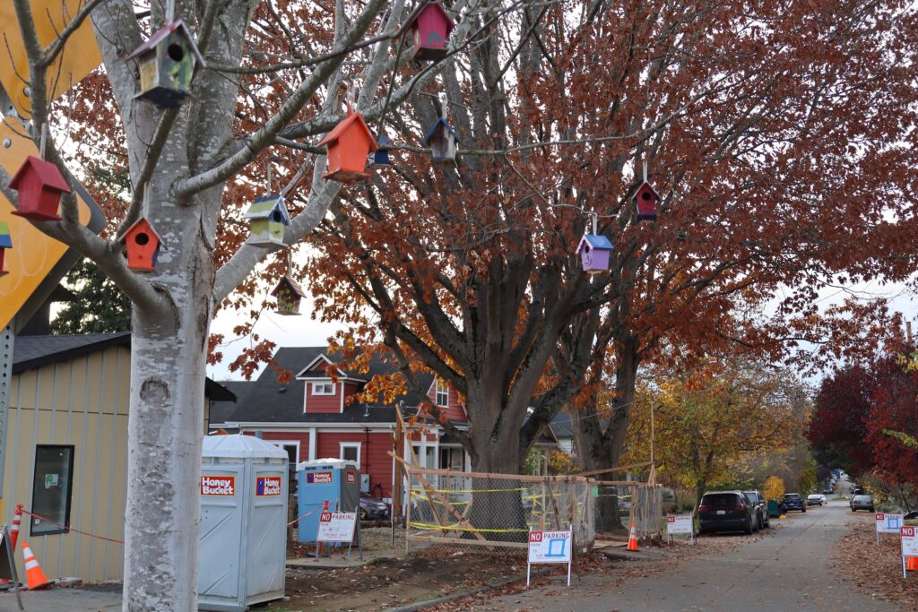 Photo of tree behind tiny bird houses