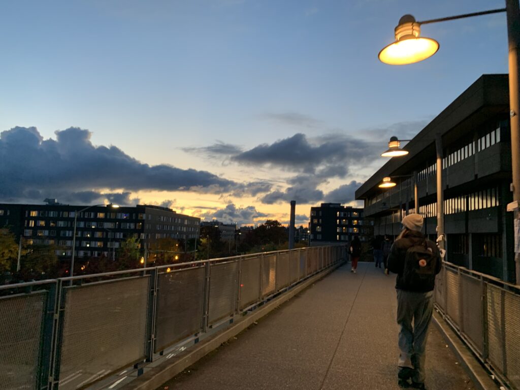 A skybridge for pedestrian traffic