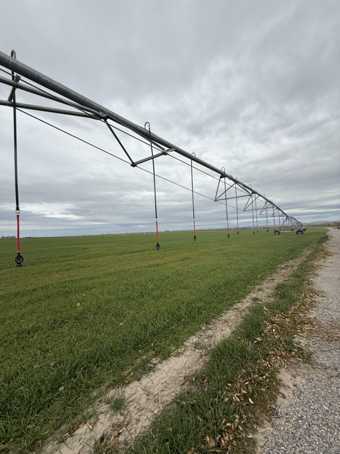 Pivots also known as irrigation systems.