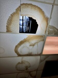 Roof leaks are causing mold throughout the ceiling at Trenton Water Works