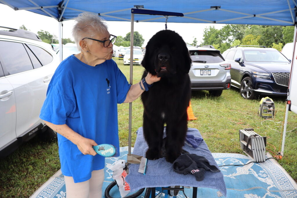 Woman stands beside a large black dog on a table
