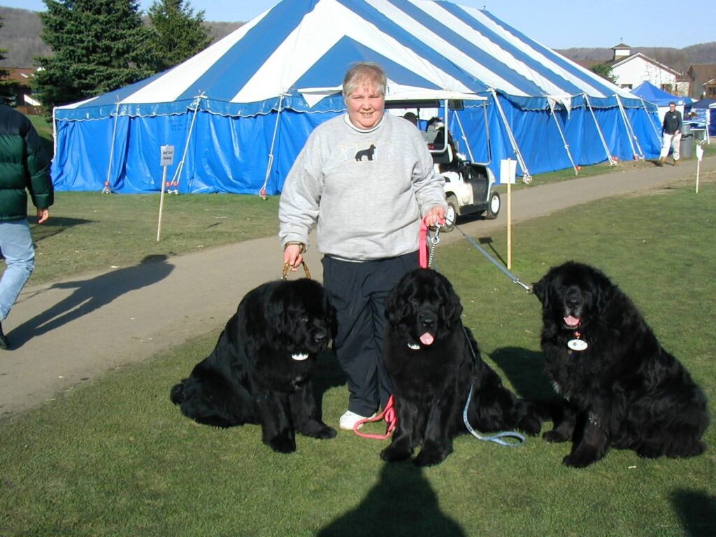 Woman with three large black dogs