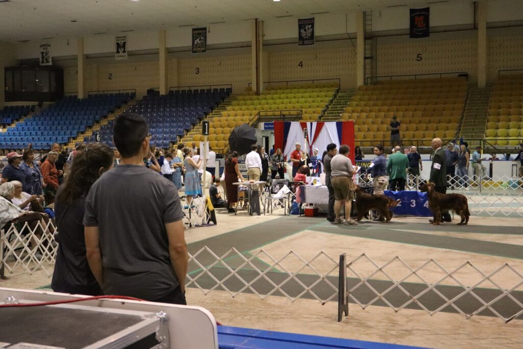 Couple at dog show