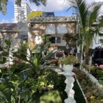 Thaddeus Bethel's front yard stands out in the neighborhood thanks to the vegetation, flora and style he has instilled.