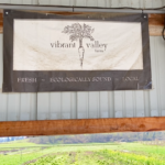 Vibrant Valley Farm, a woman-owned produce and flower farm outside of Portland.