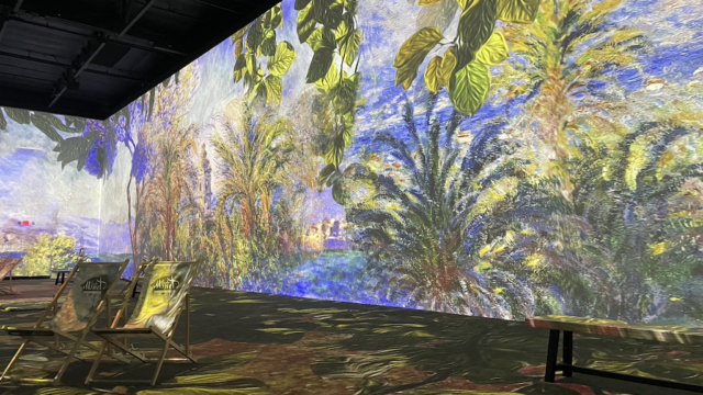 Monet's Immersive Experience