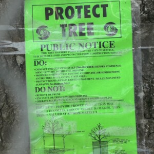 Close-up of a green "Protect Tree" sign