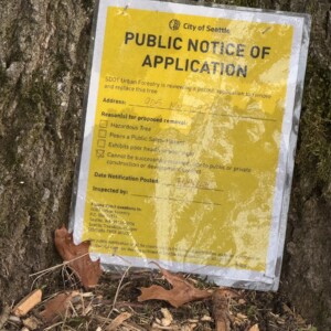 Picture of yellow city sign on tree