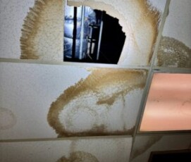 Roof leaks are causing mold throughout the ceiling at Trenton Water Works
